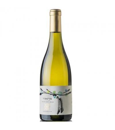 Israeli Wine Recanati Winery Marawi